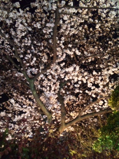 2010/04/03(y)