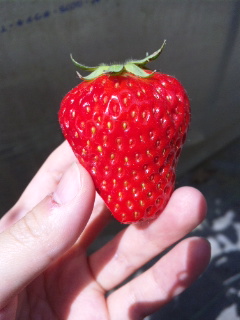 2010/04/10(y)